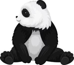 EduPanda - Korepetycje Banino - panda 2