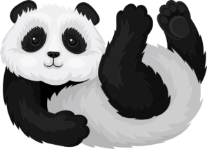 EduPanda - Korepetycje Banino - panda 6