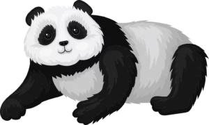 EduPanda - Korepetycje Banino - panda 8